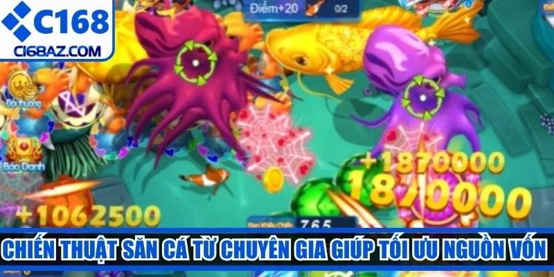Chiến thuật săn cá từ chuyên gia giúp tối ưu nguồn vốn cho anh em