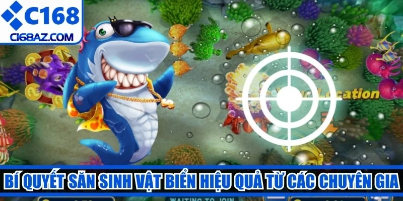 Bí quyết săn sinh vật biển hiệu quả từ các chuyên gia