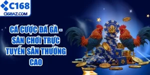 Cá Cược Đá Gà