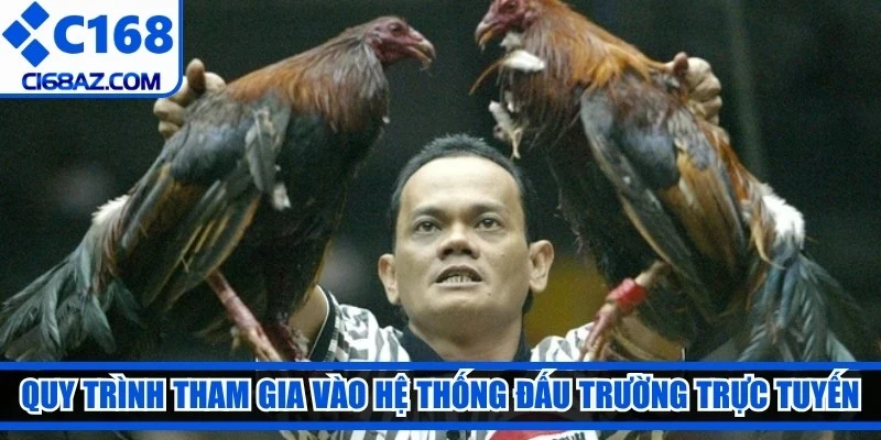 Quy trình tham gia vào hệ thống đấu trường trực tuyến hiện nay