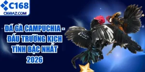 Đá Gà Campuchia