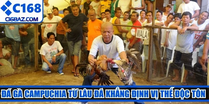 Đá gà Campuchia từ lâu đã khẳng định vị thế độc tôn trên thị trường