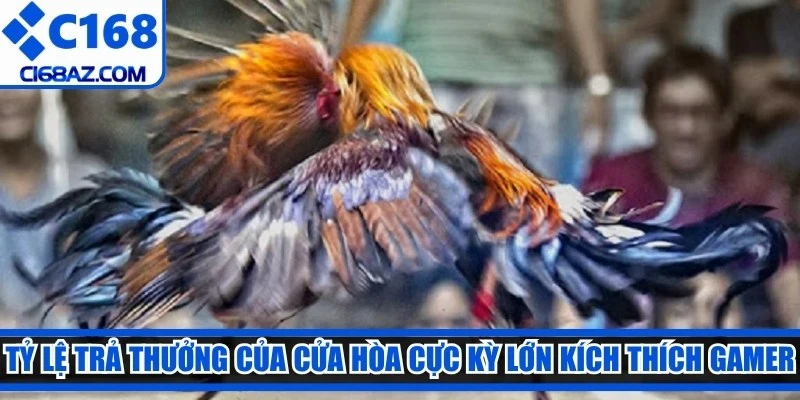 Tỷ lệ trả thưởng của cửa hòa cực kỳ lớn kích thích gamer tham gia