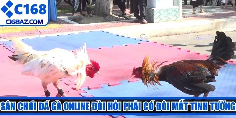 Tỷ lệ ăn cược cạnh tranh bậc nhất thị trường hiện nay