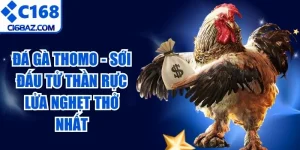 Đá Gà Thomo