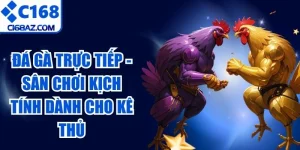 Đá Gà Trực Tiếp
