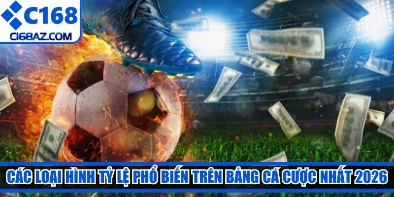 Các loại hình tỷ lệ phổ biến trên bảng cá cược nhất 2026