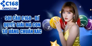 Soi Cầu C168